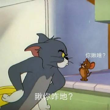 桉月|表情包：猫和老鼠你的小可爱已经睡着了