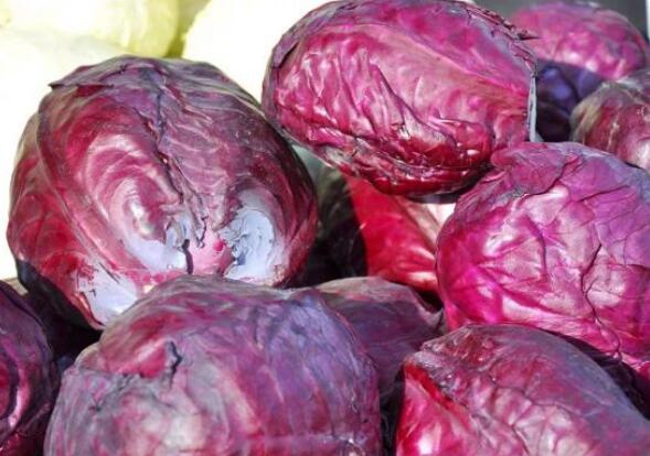 穴位|建议女人要常吃含“花青素”的美食，才营养健康，皮肤更水嫩