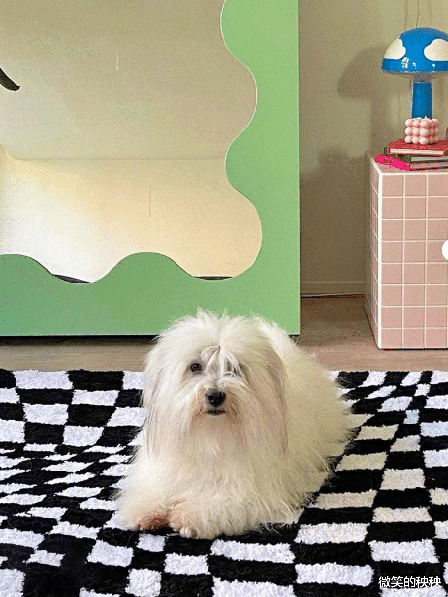 微笑的秧秧|今年的流行趋势是：一切皆可“盘”