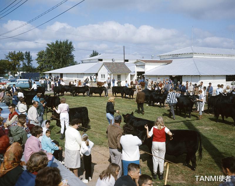 TANMI使者 中国农村到处搞“农家乐”,为何美国却推崇农业,到处是农场