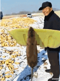 “酒店卫生间开始有这种椅子了?这是用来干嘛的?”