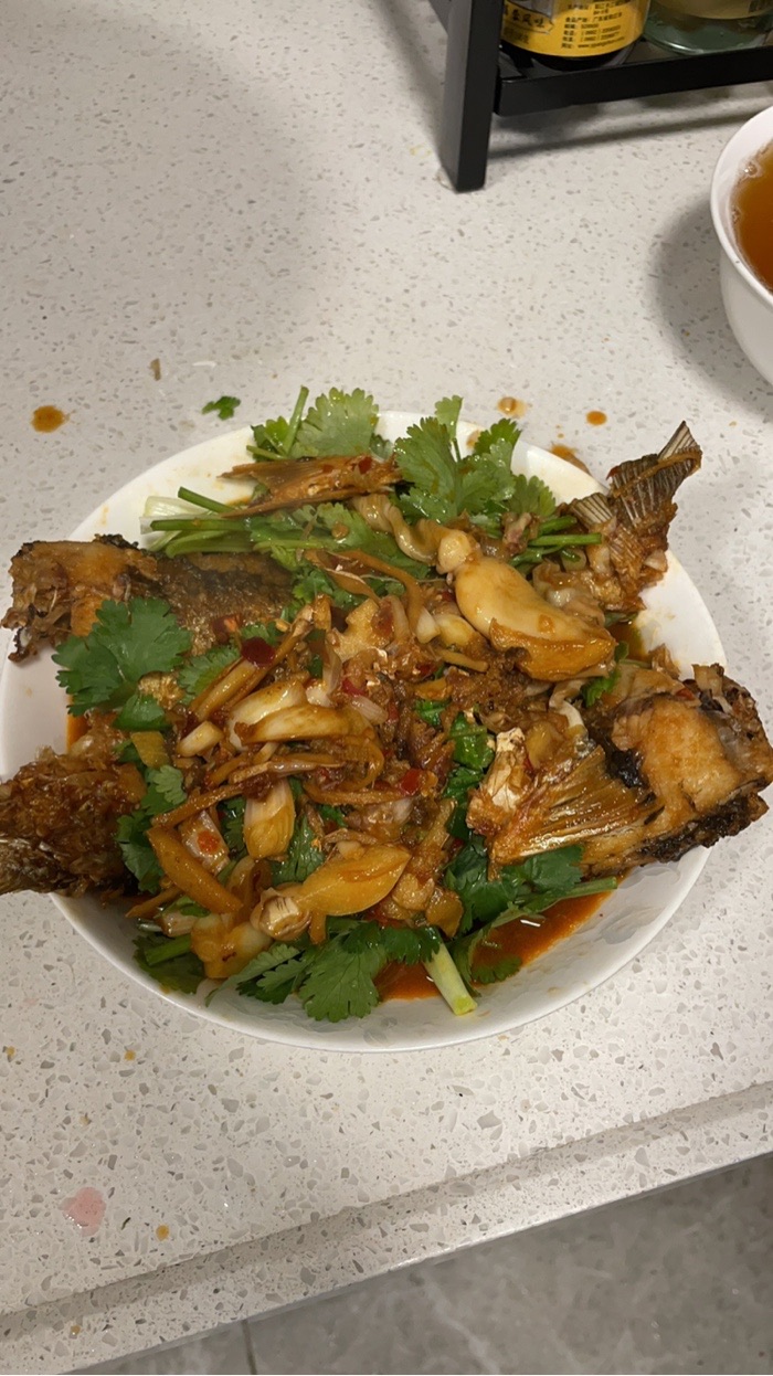 钓鱼|降温阴雨天出钓 鱼获少少少