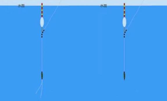 饵料|蚯蚓红虫钓鱼，无钩调漂实际操作详解