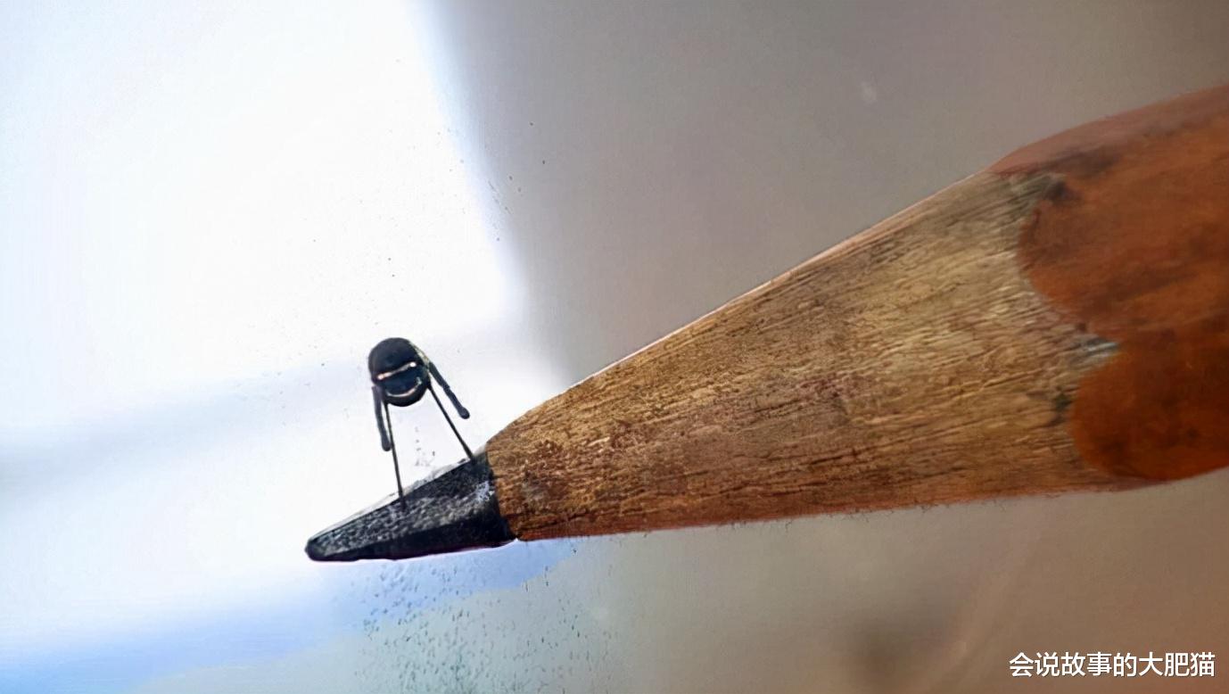 二维生物或许比星空巨兽更可怕 二向箔原理简述