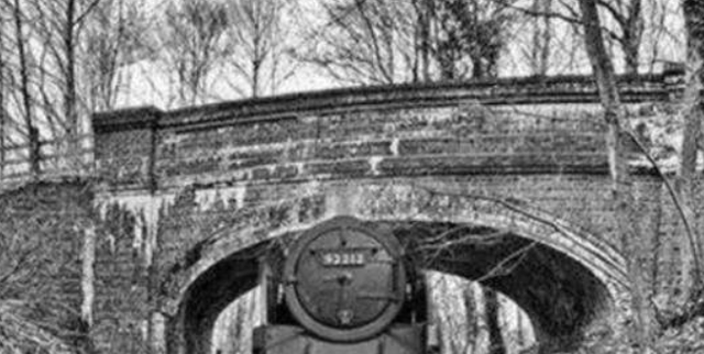 科学家 神秘的“幽灵列车”，车上104人离奇失踪，科学家上车也再次失踪