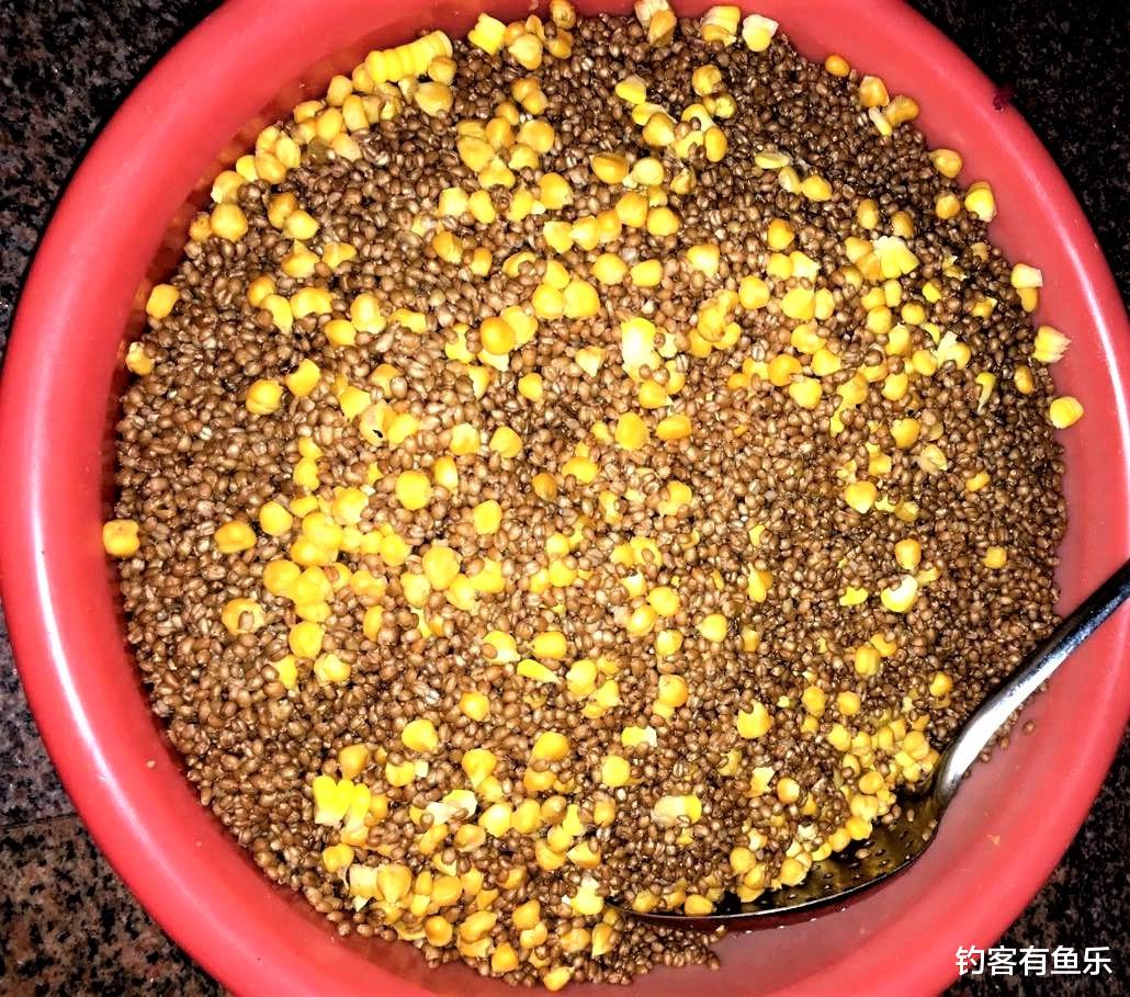 |钓鱼钓多钓少，打窝是关键，打窝方法不当，鱼窝也会成“死窝”