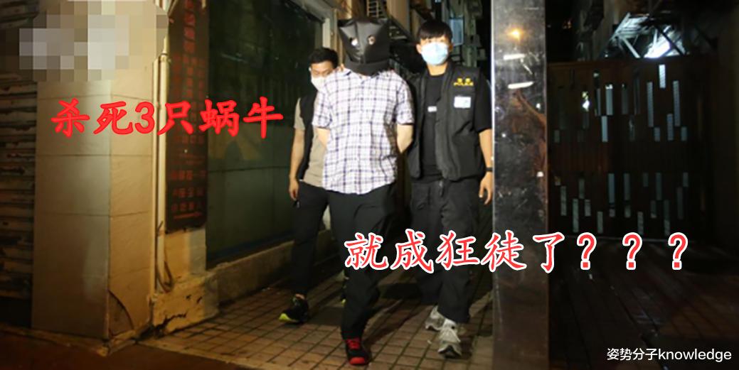 科学家 一博士杀死3只蜗牛，却变成了“尖沙咀狂徒”，这是怎么回事