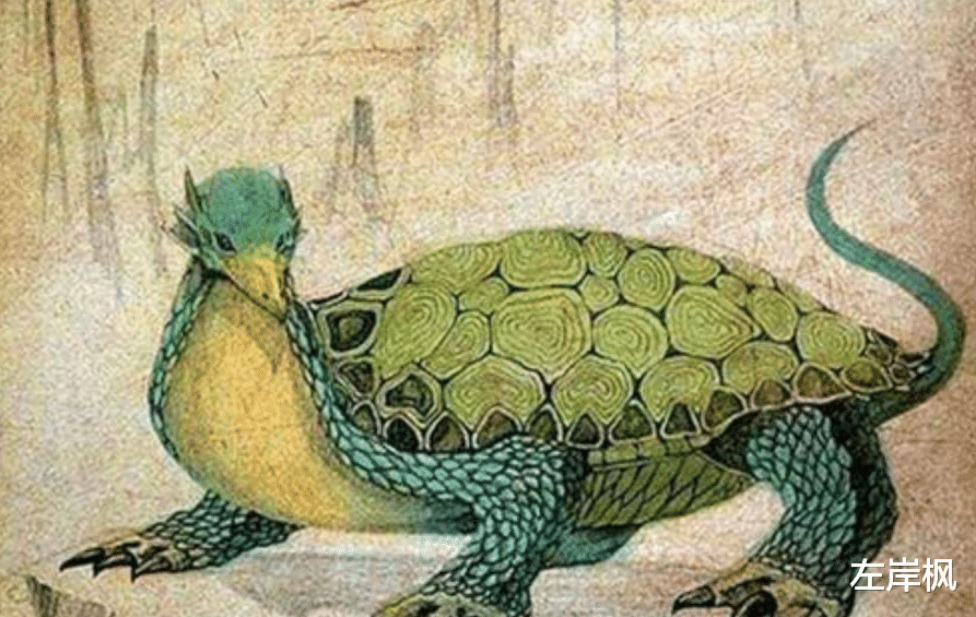 国家博物馆|河南老汉钓鱼，钓到价值18亿\千年乌龟\，已无偿转赠国家博物馆