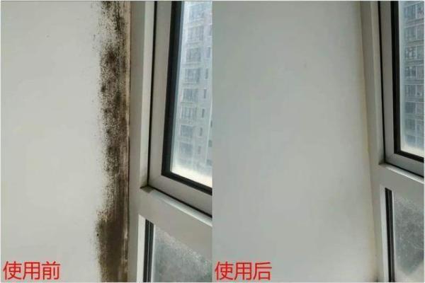 想要家越住越干净，建议添置4件家居好物，看似便宜，实用性很强