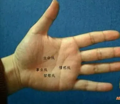 天行健人自强|从感情线看对爱情的态度与理念