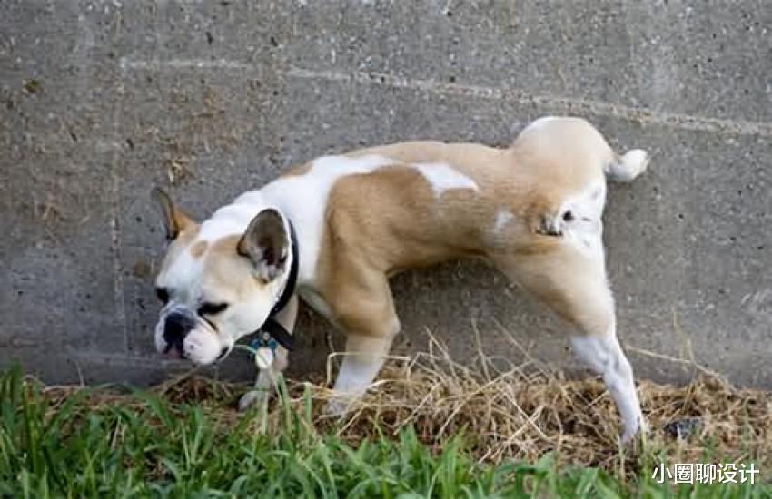 混凝土|17个大部分人都不知道的冷知识！人类大腿比混凝土还要坚固