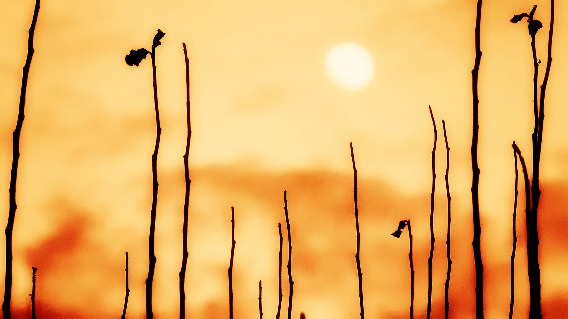 二十不惑2|第一份工作真的很重要