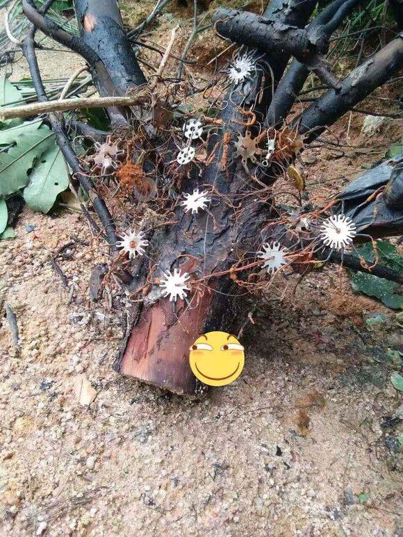 范振钰|除了钓不到鱼,真的什么都能钓到,你都钓起来过哪些奇葩?