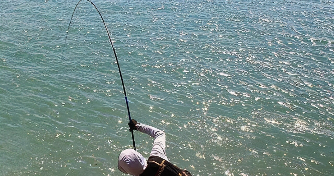 |到了夏天哪里都热，到底哪里才是鱼群扎窝的好位置