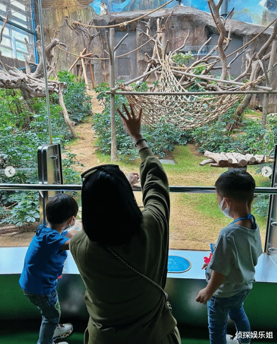 肖战|胡杏儿带俩儿子泳池疯玩，一抱一背妈妈力爆棚，母子仨同框超有爱