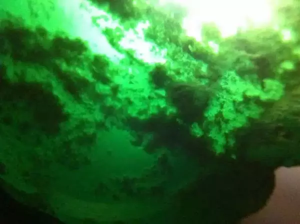 翡翠|翡翠赌石，不切到最后，谁也不知道会发生什么