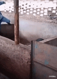 小叶娱记|神回复：恋爱中男方应承担所有开支吗？没想到现在的女孩子这么独立！