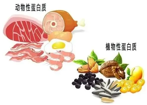 饮食|努力控制饮食还没瘦？5个原因告诉你为什么 |自检