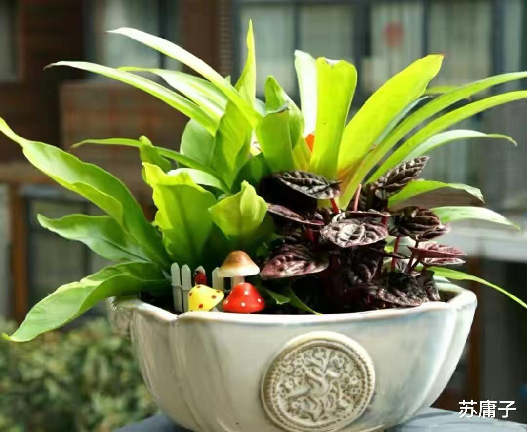 苏庸子|心理学表示：一个人嫉妒你会有这4个迹象，藏都藏不住