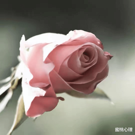 蜜桃心理|女人嫌弃你会有这4个表现,占2条以上,就不要被饱受折磨