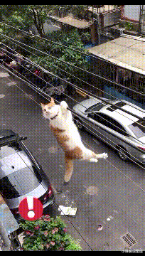 小琳解说星座|“这是我的新兵器丈八蛇矛，你们的呢？”哈哈哈哈这兵器有点冷啊