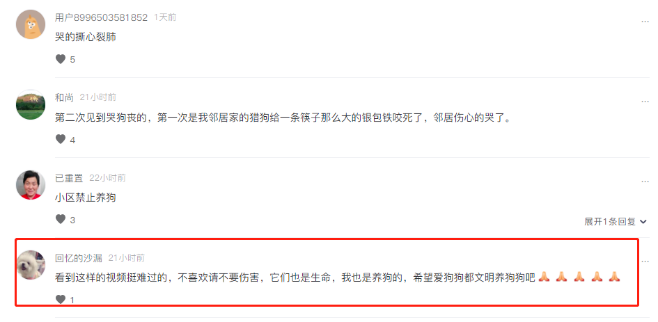 贵州 贵州一小区8条狗疑遭人投毒致死，狗主人痛哭流涕，引起网友热议