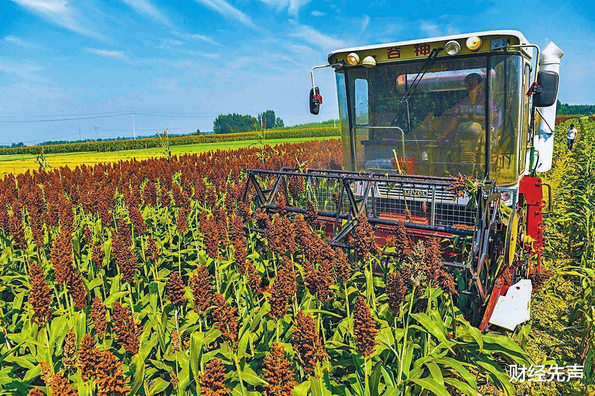 财经先声 又一必需品涨价50%，全球的人都有影响，新一轮“涨价潮”来了？