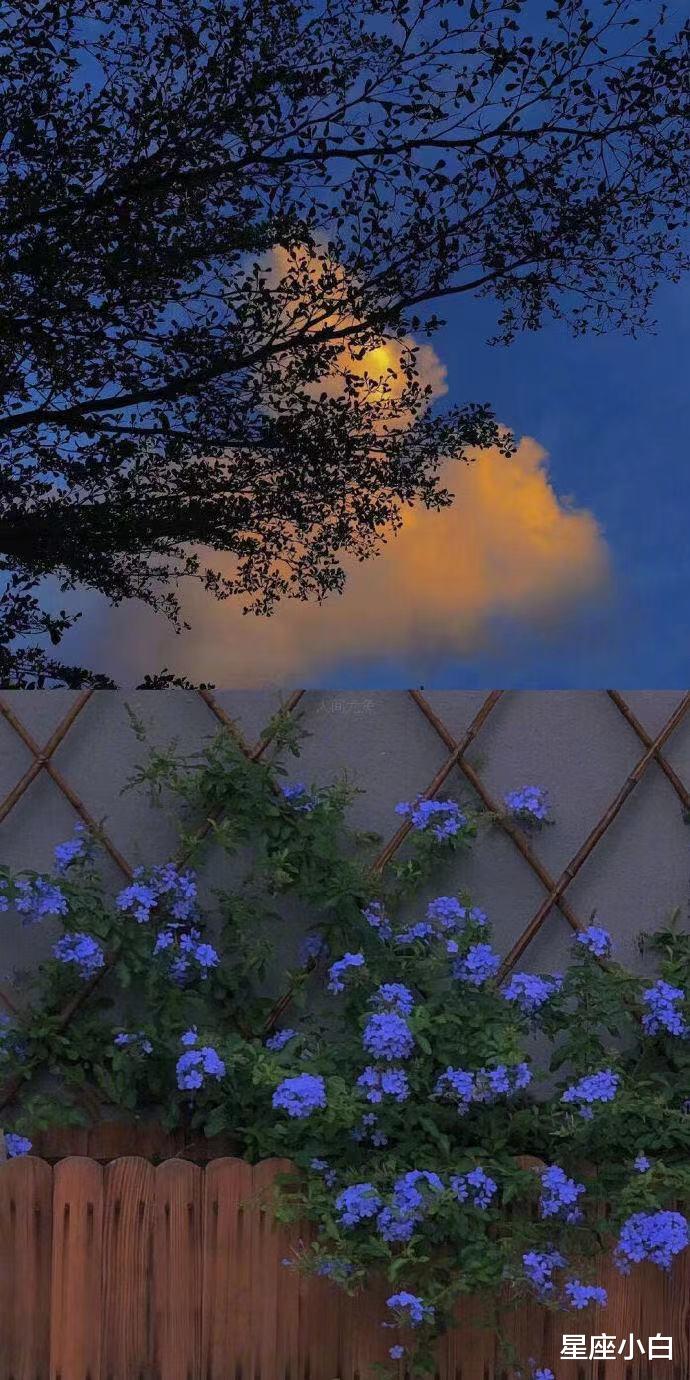 星座小白|热爱生活,努力工作,身上充满正能量的星座