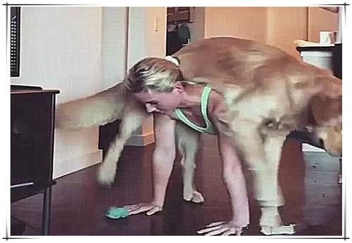 舜网 女子在做俯卧撑，狗狗突然骑到女主人身上，接下来一幕让人不淡定了