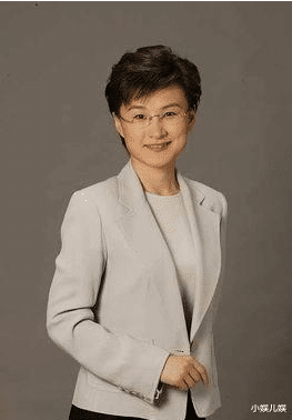 董倩|董倩的“毁灭史”:从央视名嘴到全民公敌,她到底经历了什么?