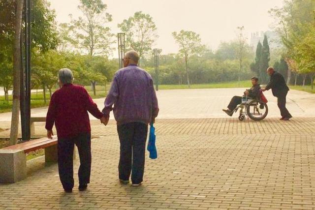 猛撩蜀黍 梅州一公园爆火,耗资500多万门票免费,开放仅半年便成粤北标志