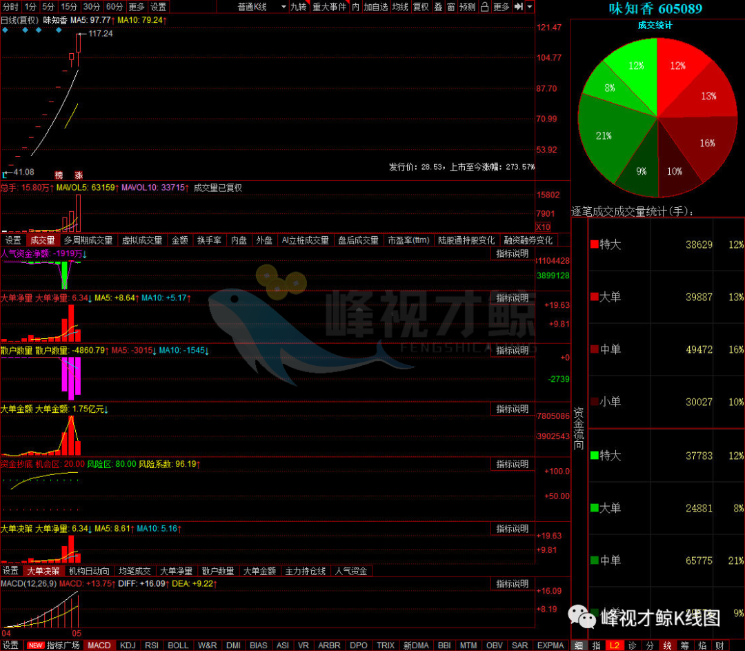 永安药业 5月17日主力最青睐的10只股票