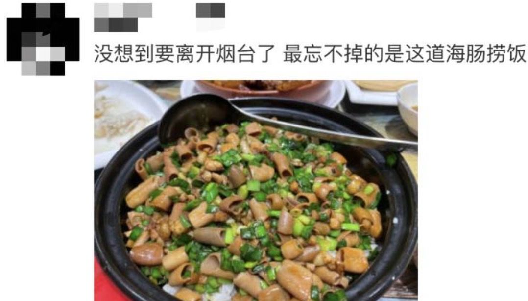 拿起一根海肠,就读懂了生命的狂野
