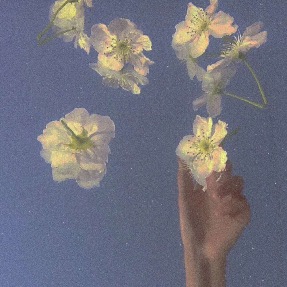 墨陌文案馆 白天有说有笑，晚上睡个好觉, 不会烂大街的高质量文案