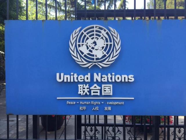 美俄態度罕見一致，聯合國180多國贊成，亞洲誕生首個永久中立國-圖3
