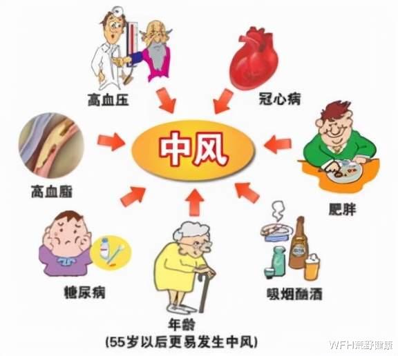 穴位|荒野健康：据说每天坐 8 小时中风风险高 7 倍，你每天会坐多久？