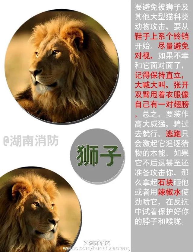 安徽共青团 小心!虎出没!