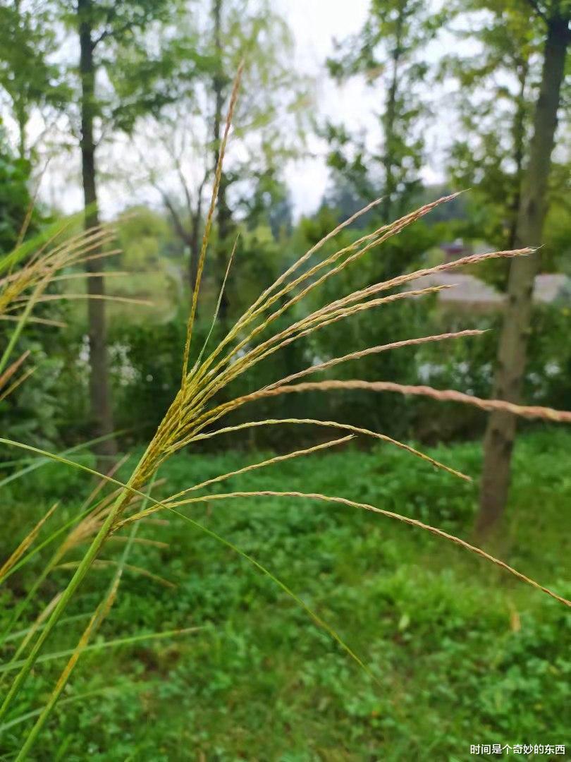 时间是个奇妙的东西 青岛一处被人忽略的美景公园