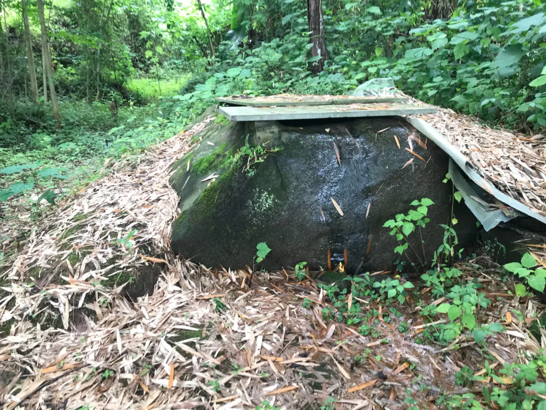|风水寻地记，如玉盘之高山窝穴阴宅风水美地分享（多图）