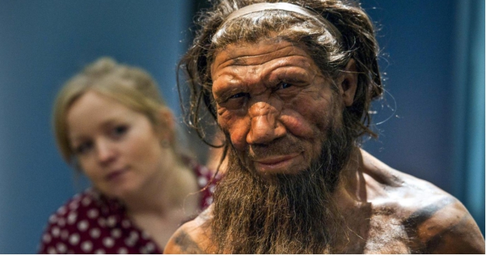  如果复活4万年前的尼安德特人，这个世界会发生什么？或导致混乱
