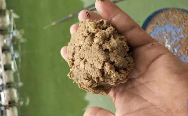 朝鲜|春钓时，小鱼闹窝惹人烦？庆幸我有这几招规避方法，中鱼率那叫高