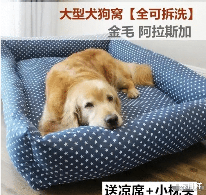 苏月瑾|“第一次和这种室友相处，我应该注意什么？”