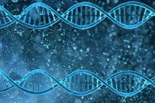 如果一个物种没有足够大的基因库,它还能进化吗?