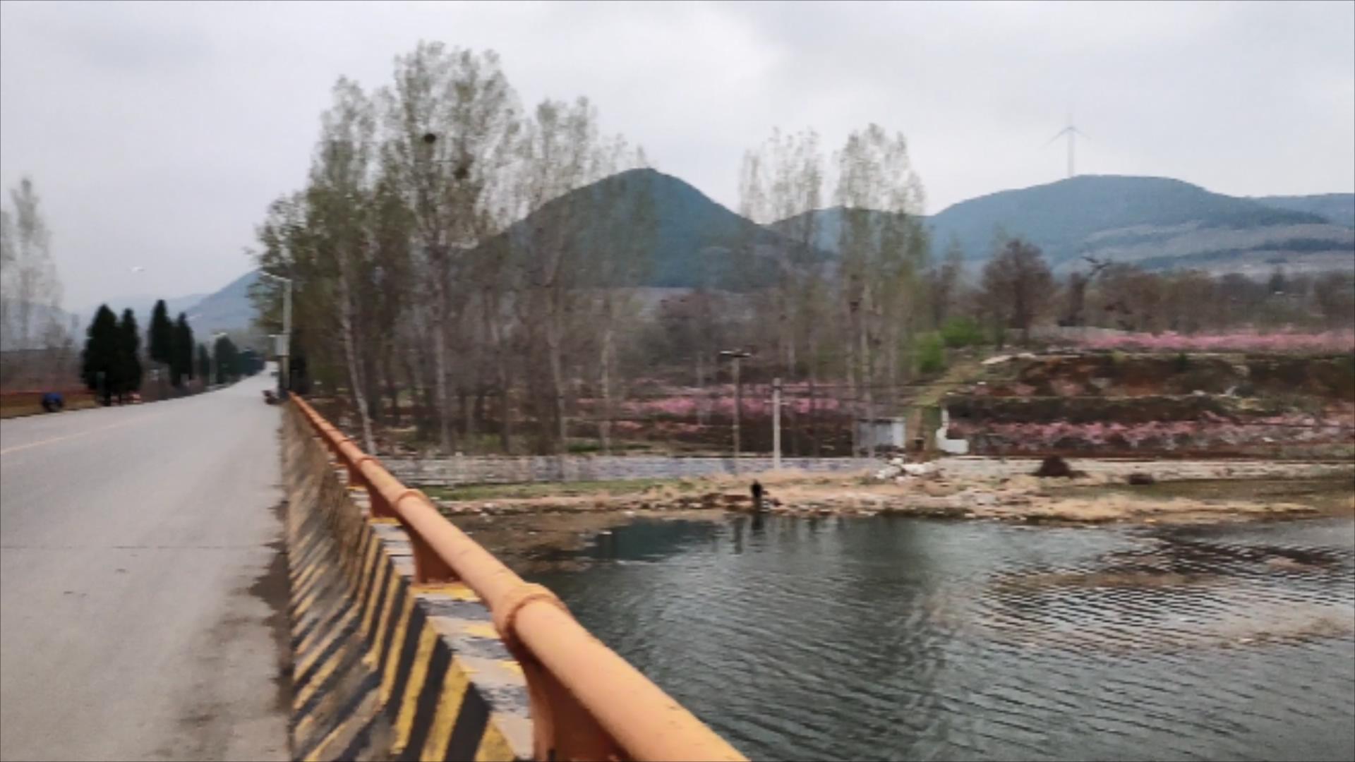 微游枣庄 微游枣庄的自然人文之旅｜山亭岩底桃花红