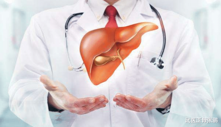 肝脏|“降酶冠军”已被发现,不是菠菜,每天吃点,降酶又保肝