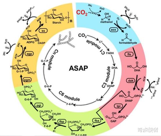 二氧化碳 利用二氧化碳生成淀粉？你没听错，这项技术问世了