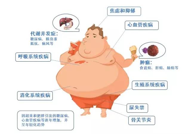 疾病|我国肥胖增长趋势变缓,防控初见成效,为什么要预防肥胖?