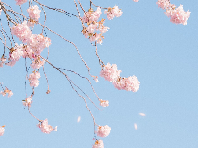 星座师安达|成为水瓶座真正的恋人,需要具备哪几点?