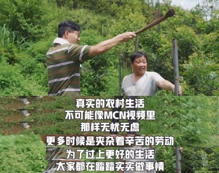 阿井看社会|回村的年轻人后来怎么样了