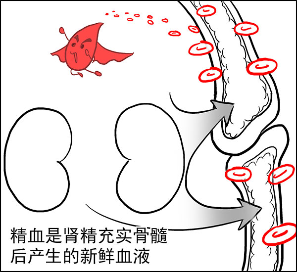 六度医生|《本草纲目》最推崇的补血良药